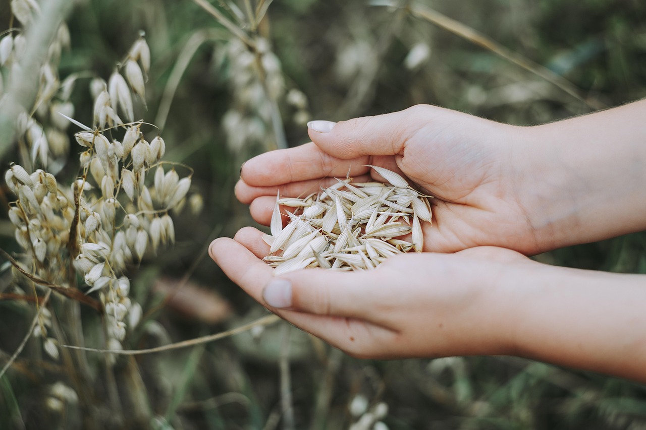 gesunde ernährung für kinder – tipps und rezepte für eine ausgewogene und nahrhafte kinderernährung, die das wachstum und die entwicklung fördert.