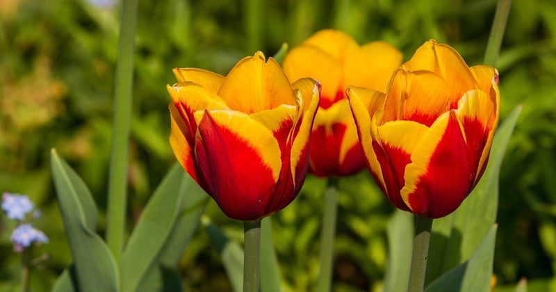 Die 50 besten kurzen Geld Sprüche: Frech, weise & zum Nachdenken