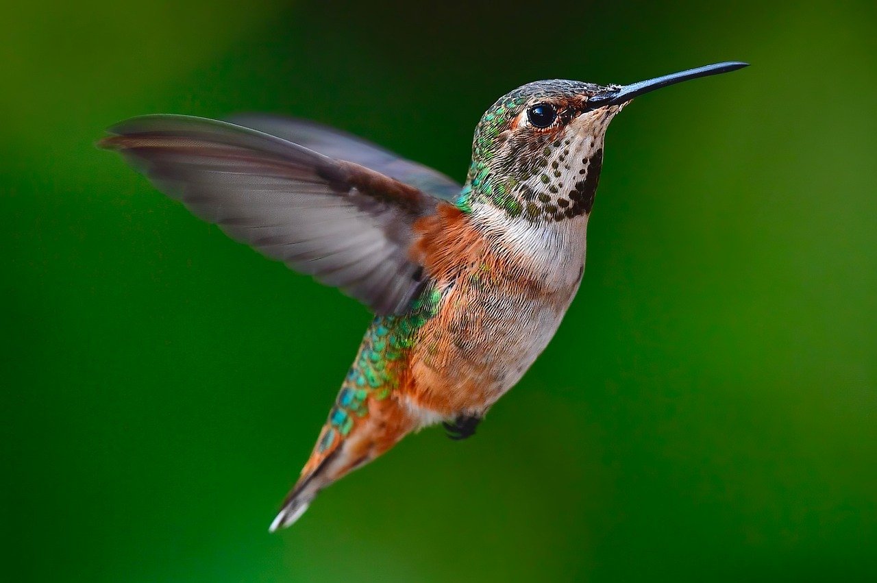 entdecken sie nat&uuml;rliche sch&ouml;nheit mit unseren tipps und produkten f&uuml;r einen strahlenden, gesunden look.